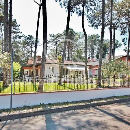 Conchiglia * لينانو سابيادورو